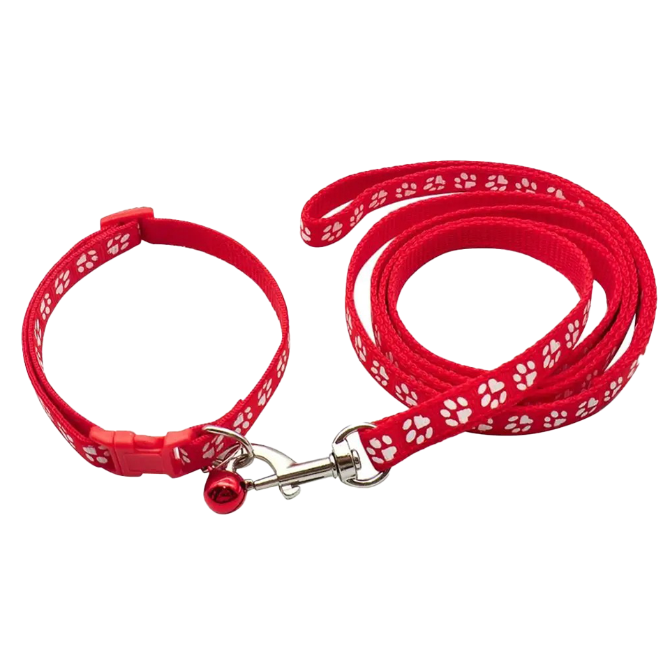 Dog Paw Print Pet Traction Rop - đánh giá và giá Headcollar Rope Set