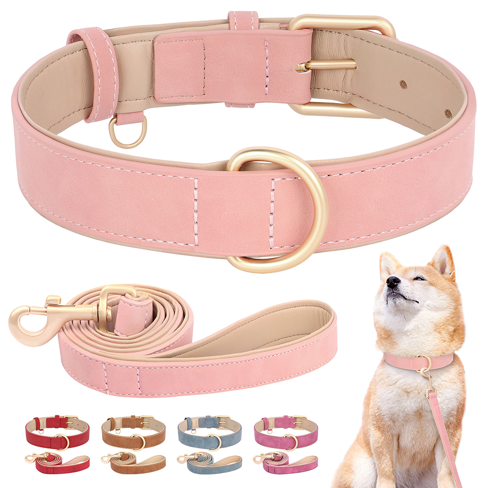 Soft Padded Dog Collar Leash S - đánh giá và giá Headcollar Rope Set