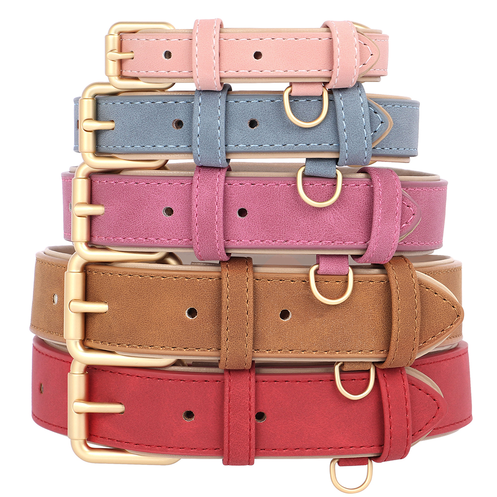 Soft Padded Dog Collar Leash S - đánh giá và giá Headcollar Rope Set